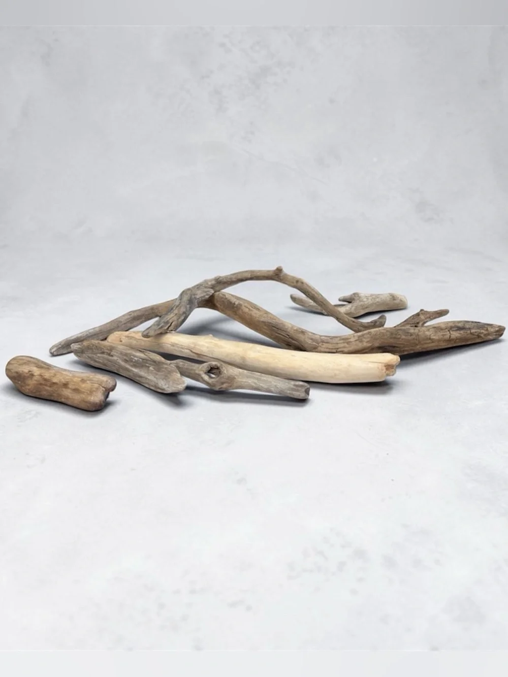 Natural Driftwood Logs Coastal Beach Naturescape Set Neutral Brown Gray Tan